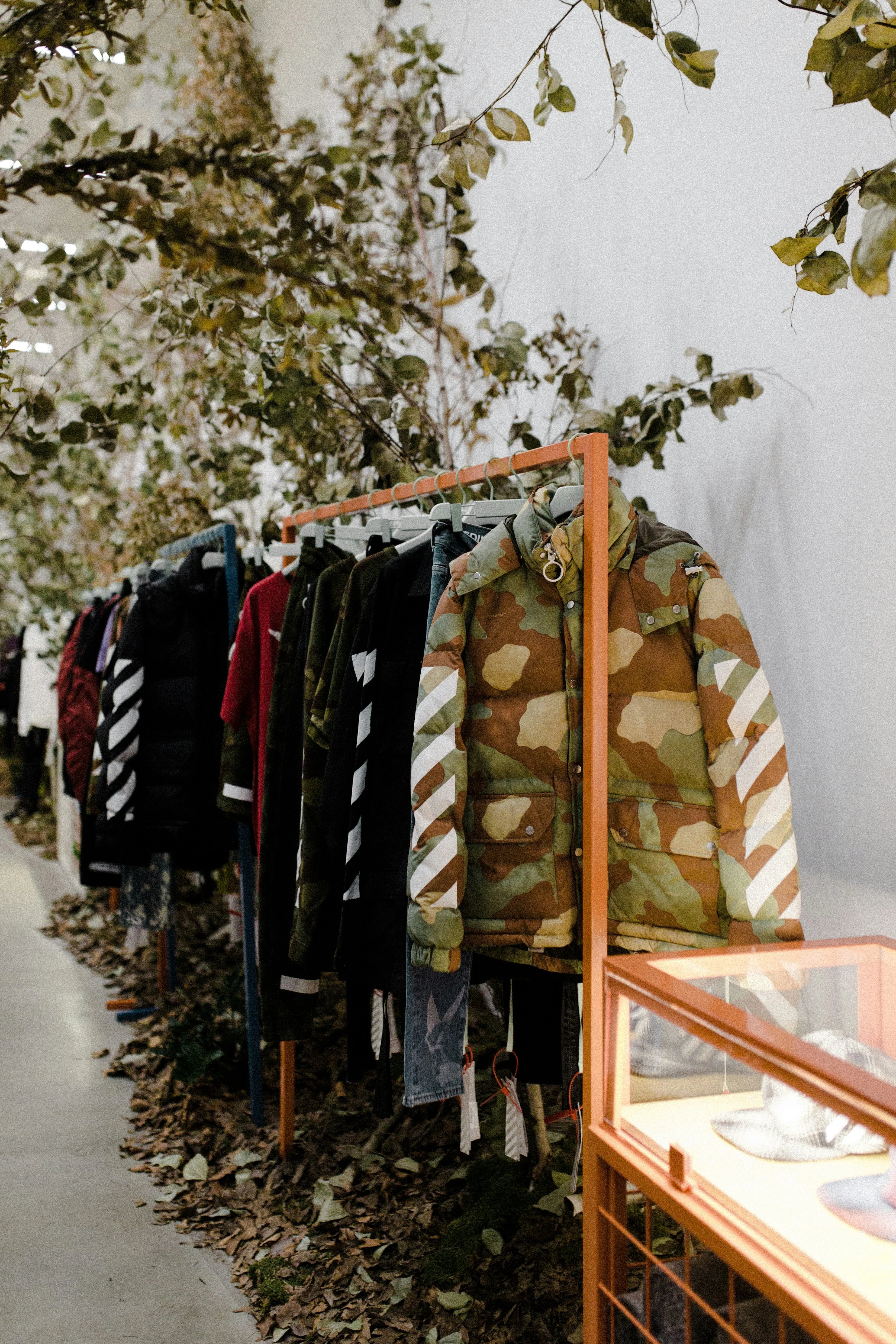 Set di vestiti streetwear incolonnati in un appendino, con foglie autunnali sotto e rami di albero sopra